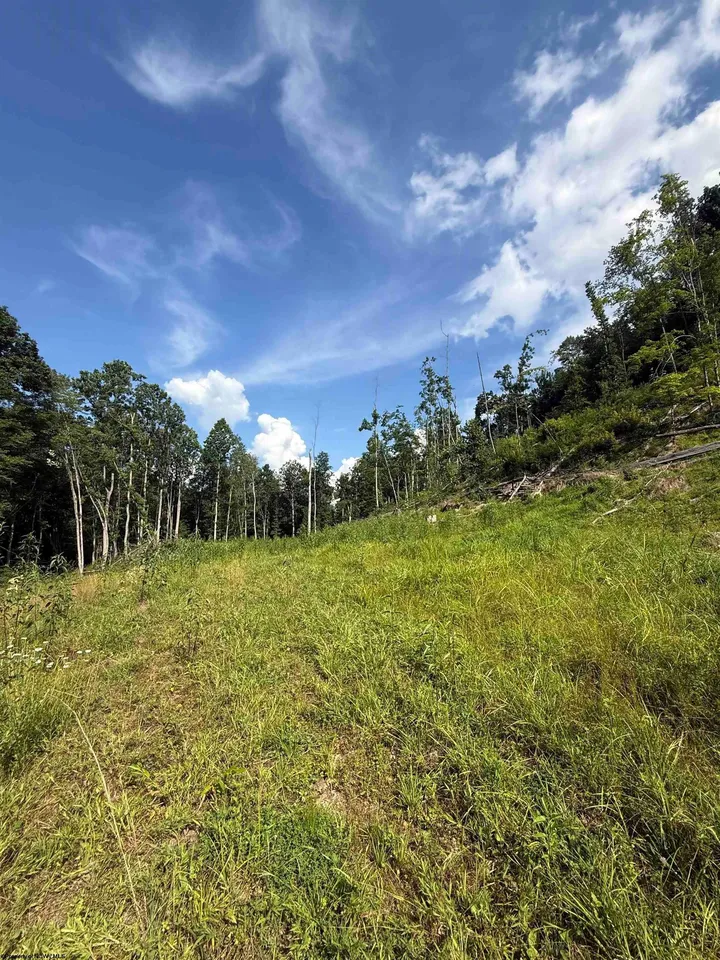 Knights Fork Rd, West Union, WV